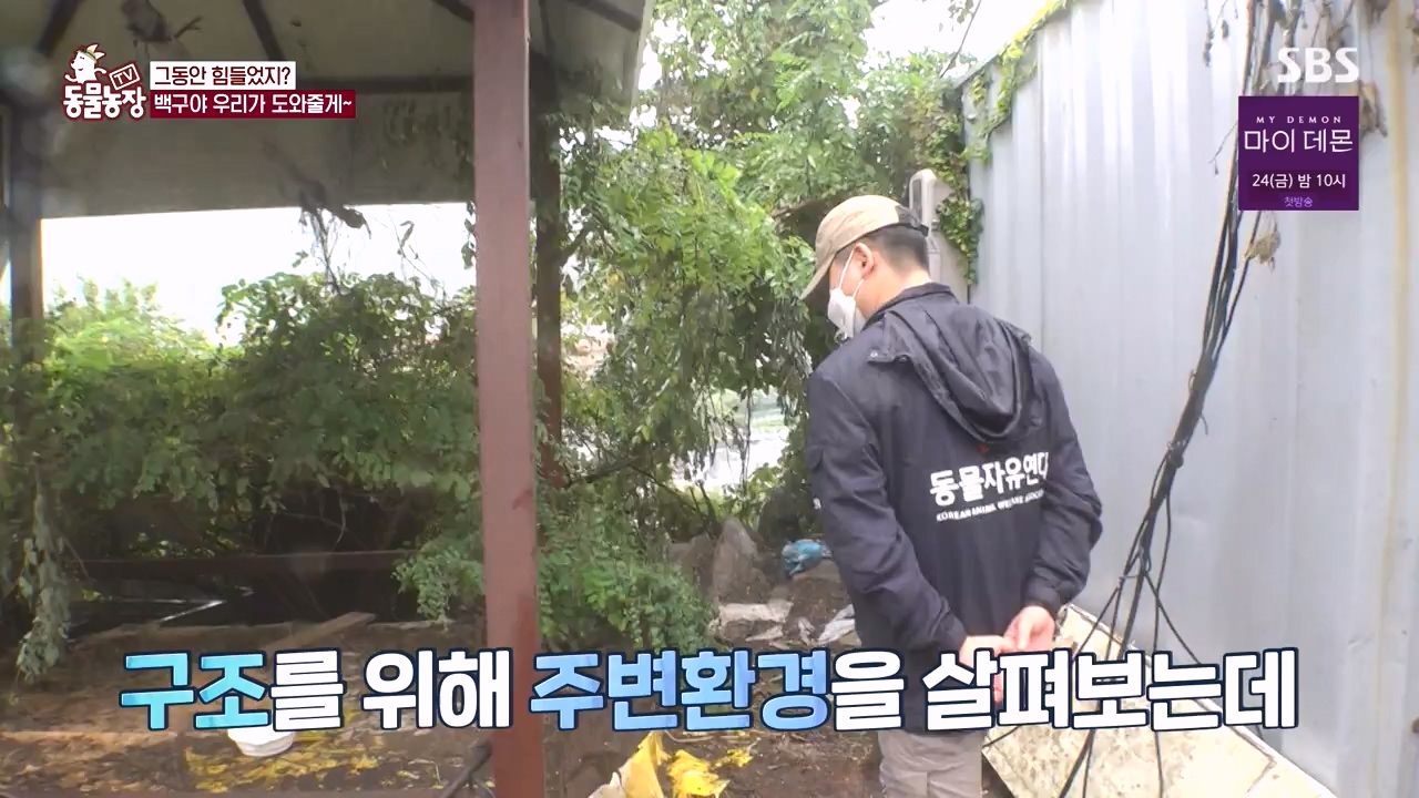 TV 동물농장.E1144.231106p-NEXT.mp4_20231105_180000.264.jpg