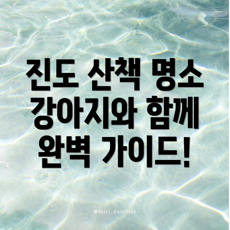 강아지 산책