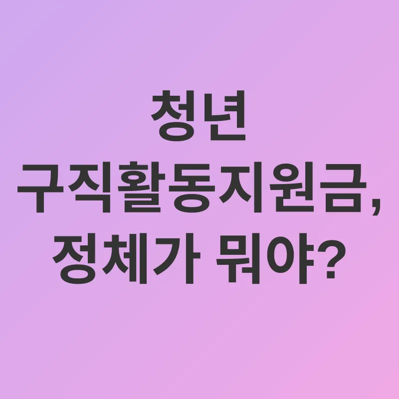청년 구직활동지원금_1