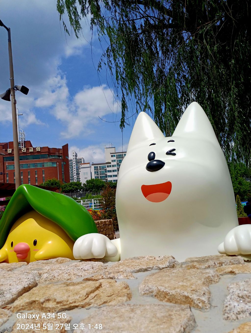 정원족발 이미지