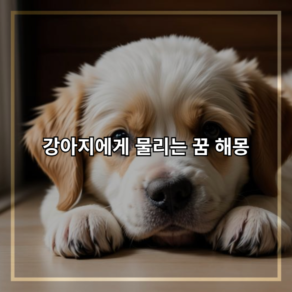 강아지에게 물리는 꿈 해몽, 당신에게 주는 메시지는?