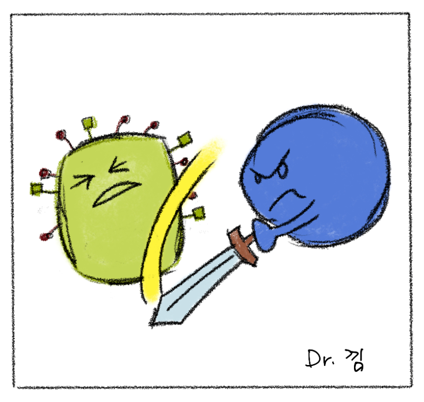  조직거부반응의 필요성. MHC class I (HLA) 이야기.