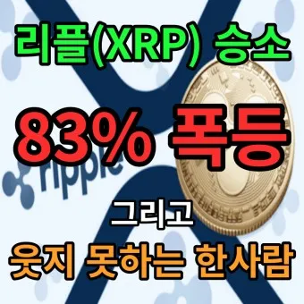 리플 SEC 소송_23