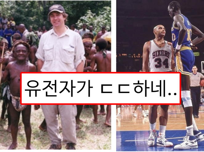 전세계에서 가장 작은 부족과 큰 부족의 키차이