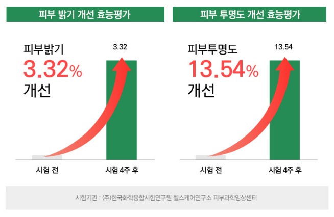 셀비엔 기미패치