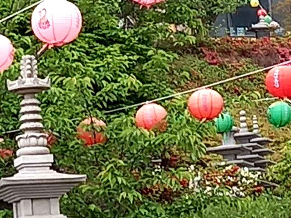 img.jpg
