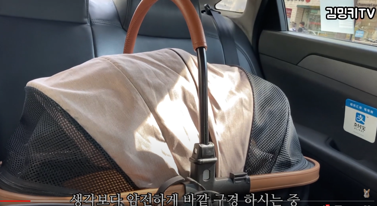  웰시코기 김밍키와 함께 성신여대 나들이 ( 가족사진 찍고, 카페 가는 )