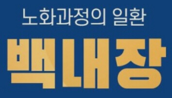 노안의 질환 백내장 인공 수정체 삽입 : 증상 및 수술 치료