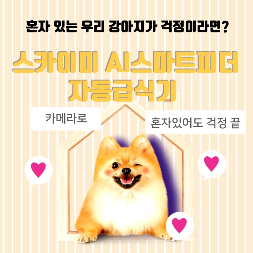  강아지 혼자 있을때, 자동급식기 장만했어요(스카이미 AI스마트피더 자동급식기 카메라)