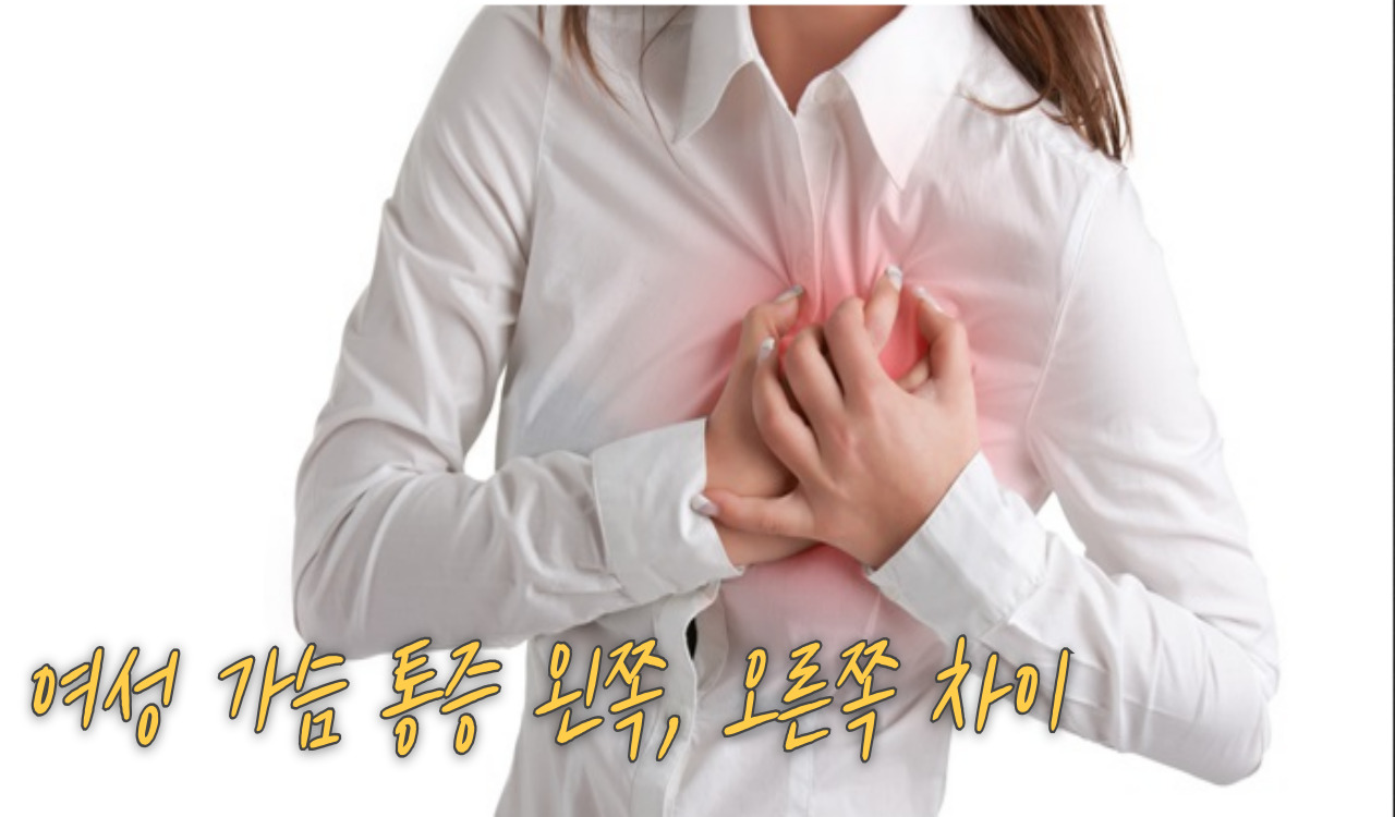 가슴통증 차이