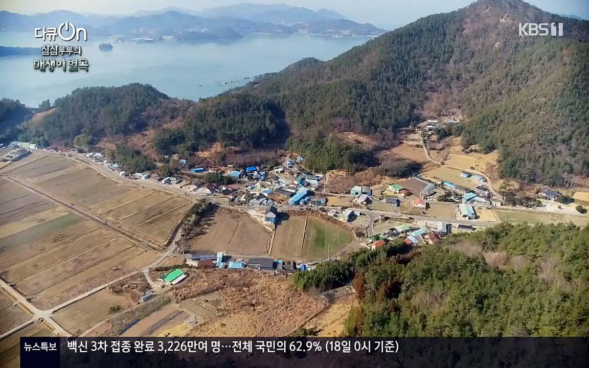 다큐 온.E131p-NEXT.mp4_20220319_174024.276.jpg