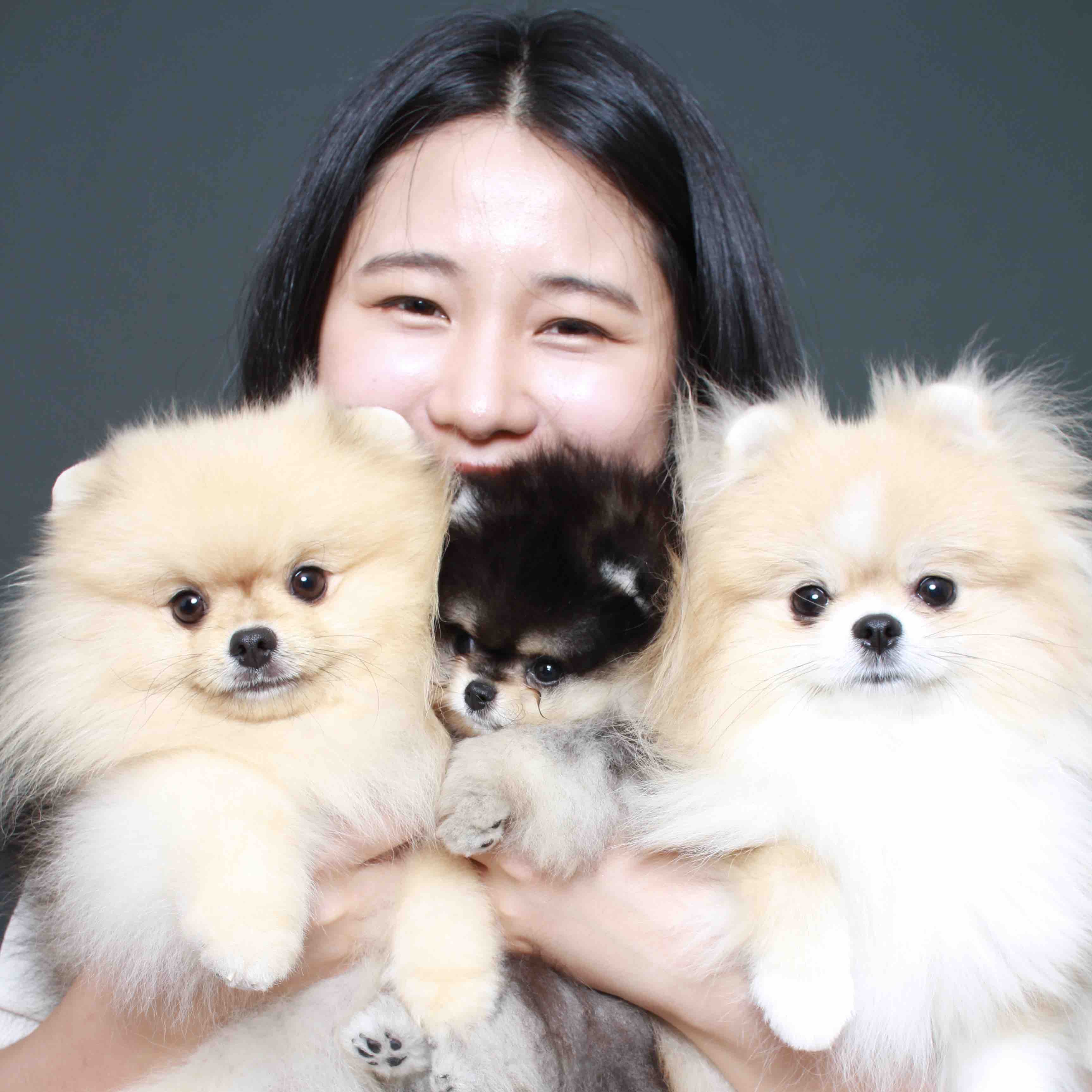 포메라니안 3마리를 웃으면 안고 있는 사람