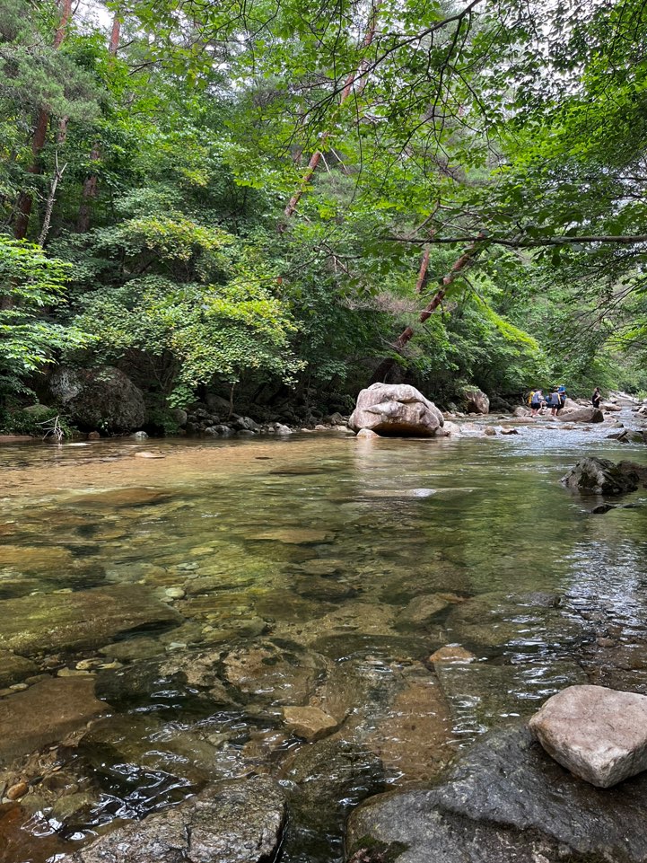 가운데 바위가 보이며 물은 데체로 낮은 계곡입니다.