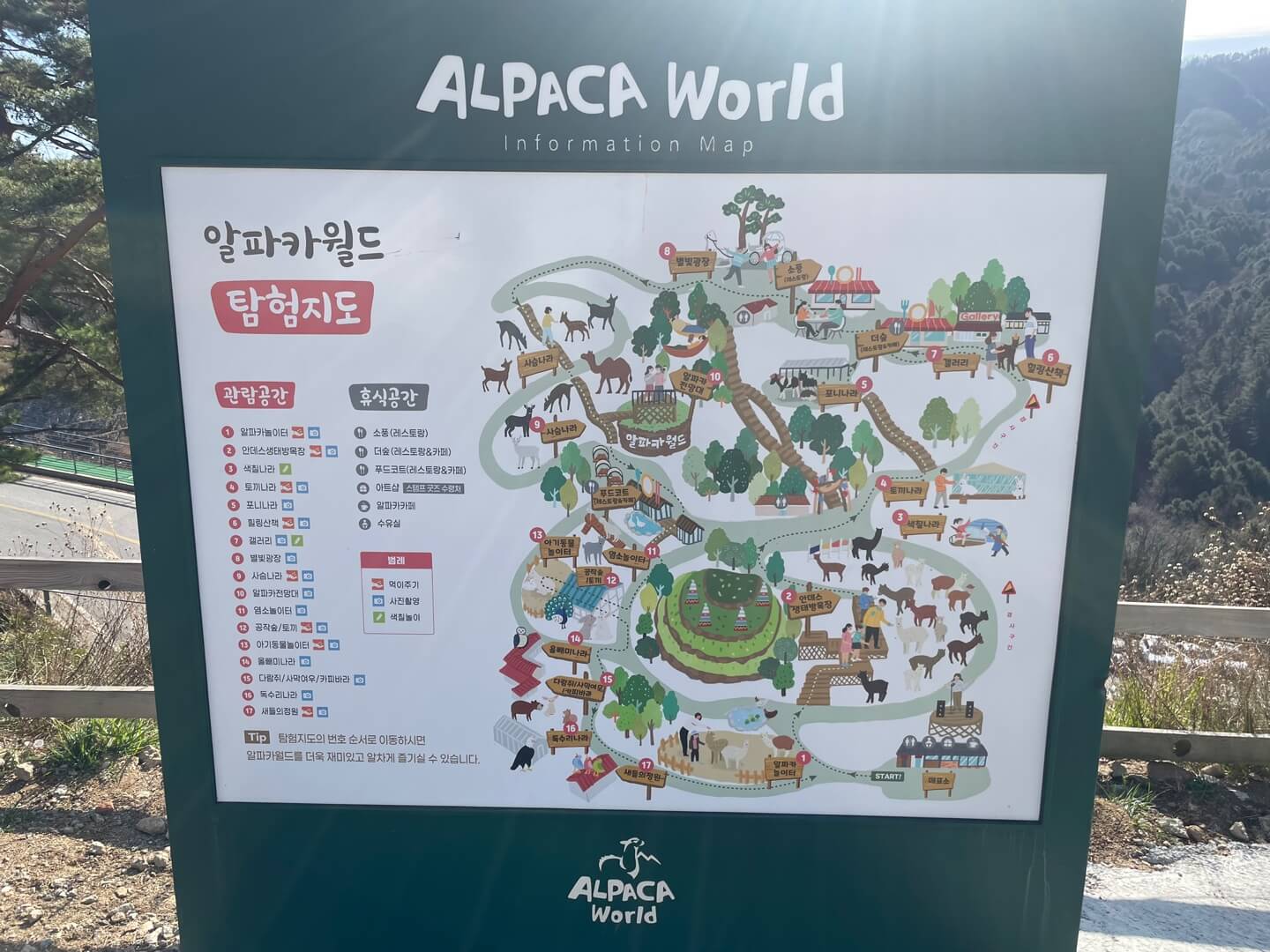 알파카월드