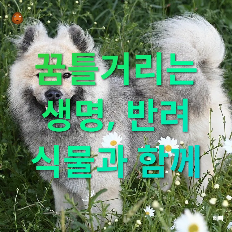 반려식물_3