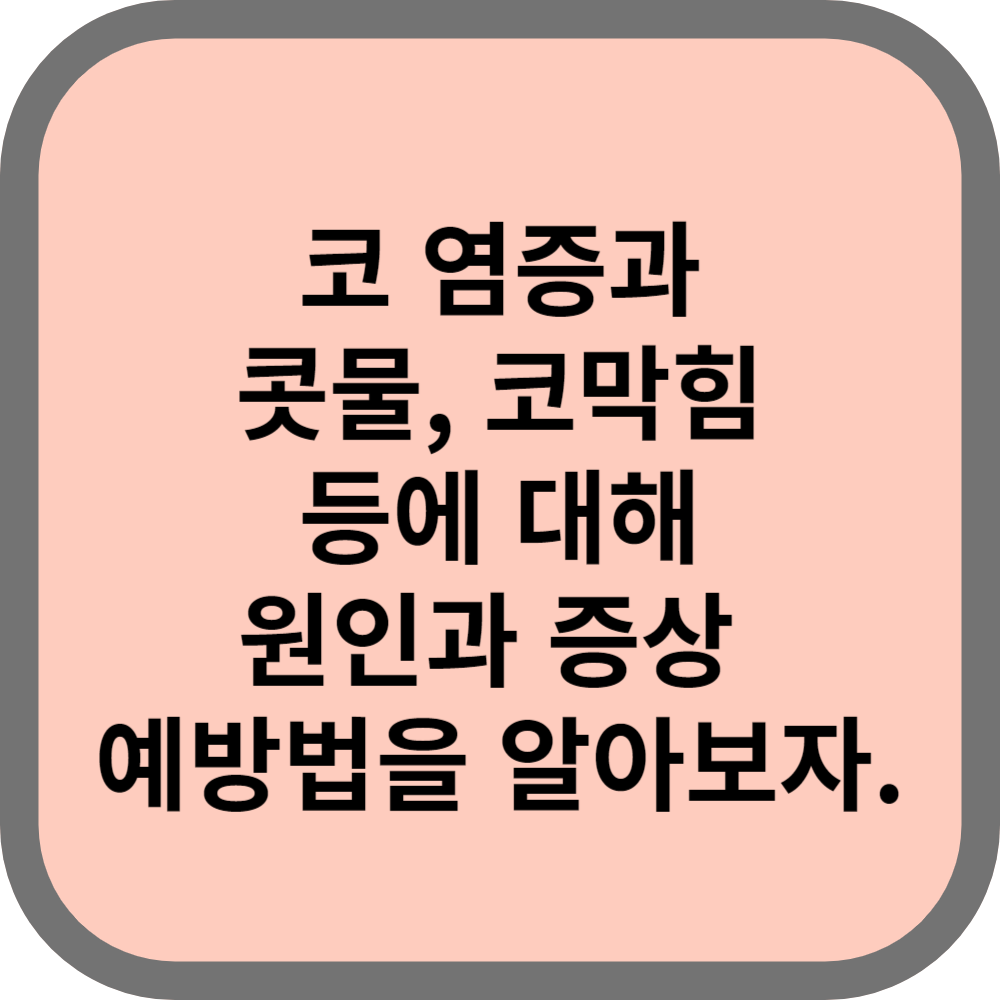 코염증의원인