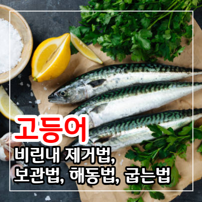 고등어 비린내 제거법, 보관법, 해동법, 굽는법