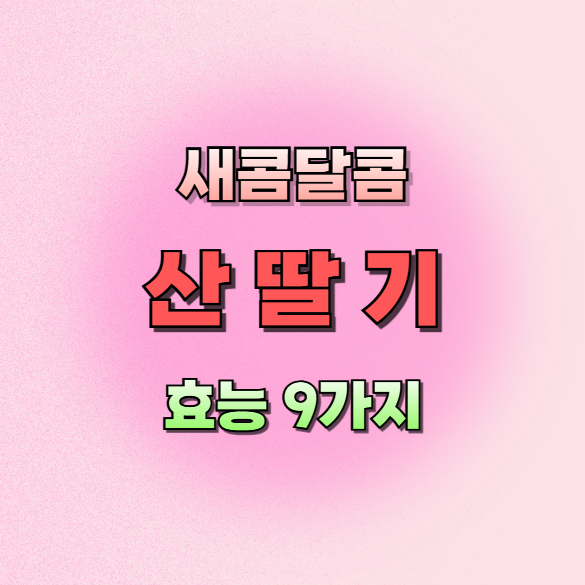 산딸기효능