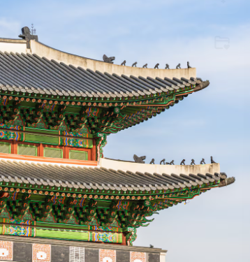 예약 방법