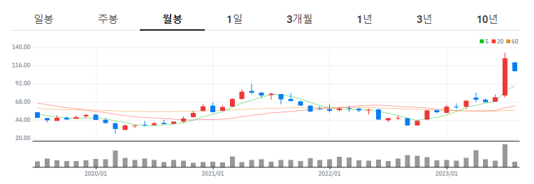 희토류 관련주 - 포스코홀딩스 월봉차트