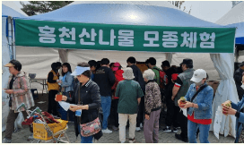 홍천 산나물 축제