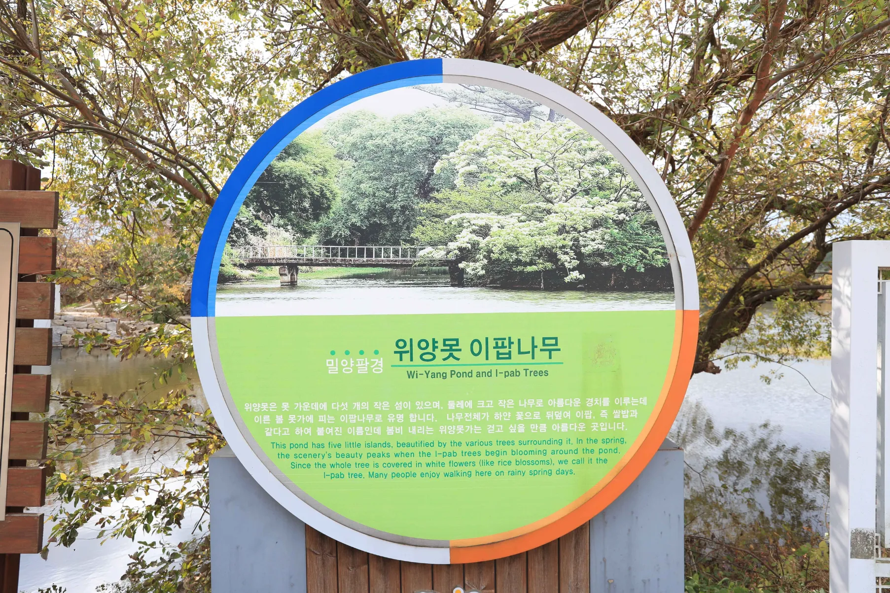이팝 이미지
