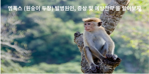 원숭이