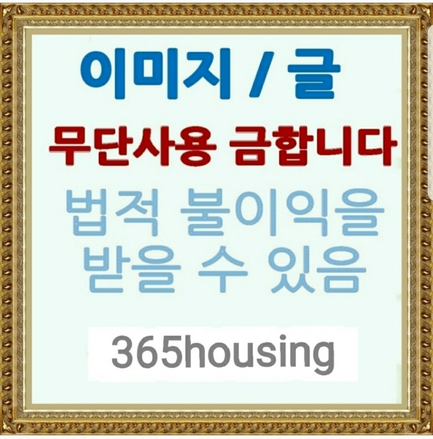 대구 방충제 16