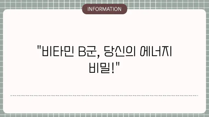 비타민 b군 영양제 추천