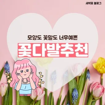 예쁜 꽃말 추천 모음 이해할수록 매력적인 꽃들의 꽃말 안내 모음_2