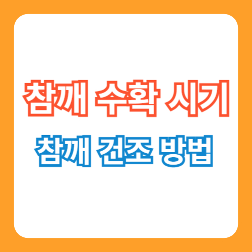 참깨 수확시기 썸네일