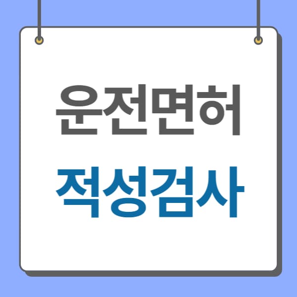 운전면허 적성검사