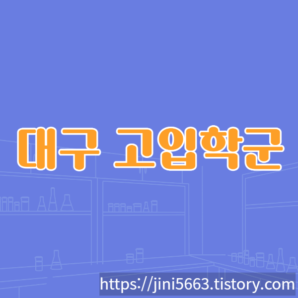  대구 고입학군 정보
