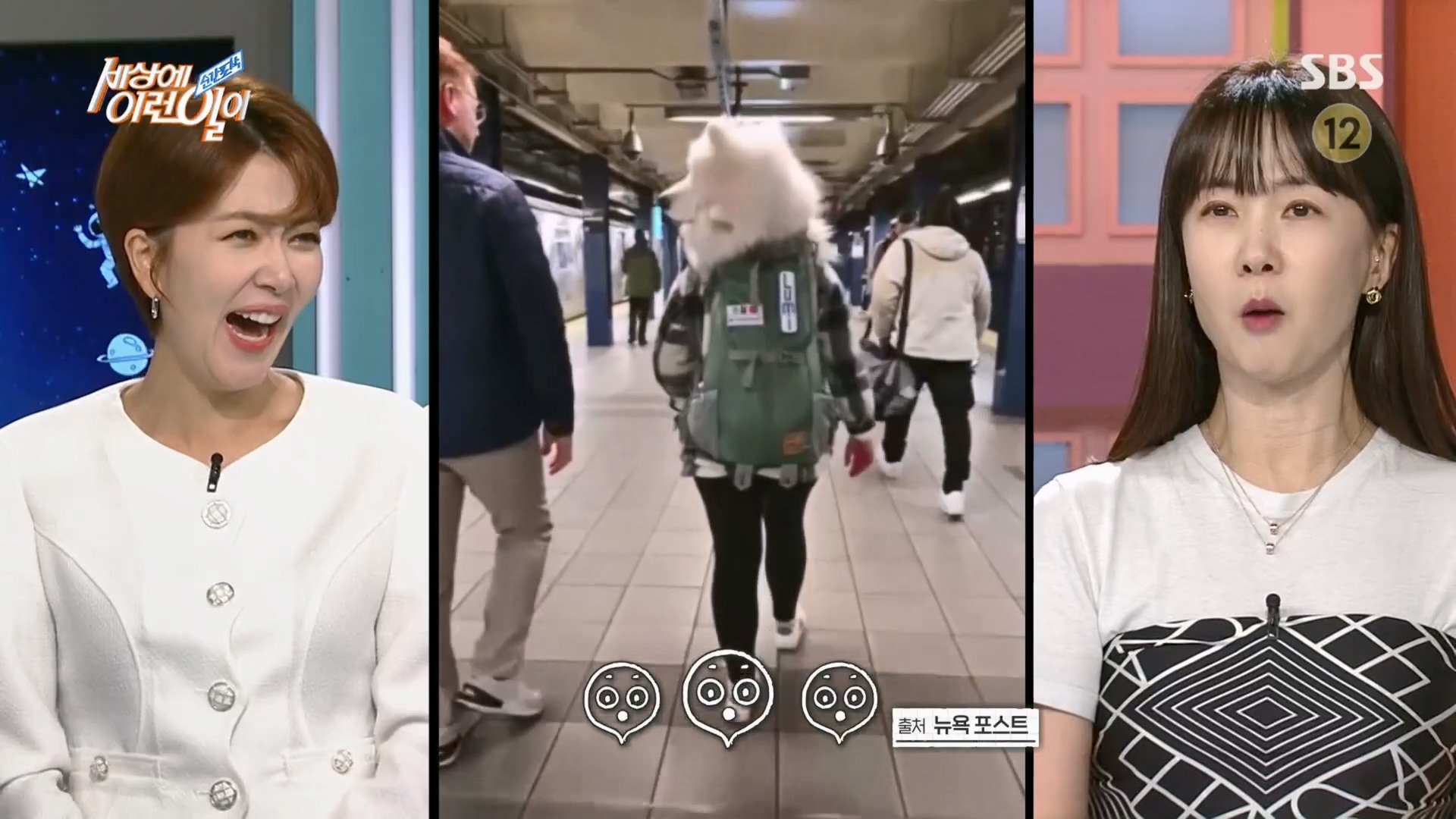 순간포착 세상에 이런일이.E1226.230418p.H264-F1RST.mp4_20230419_195504.649.jpg