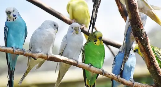 아빠 육아휴직 장려금 신청 방법 