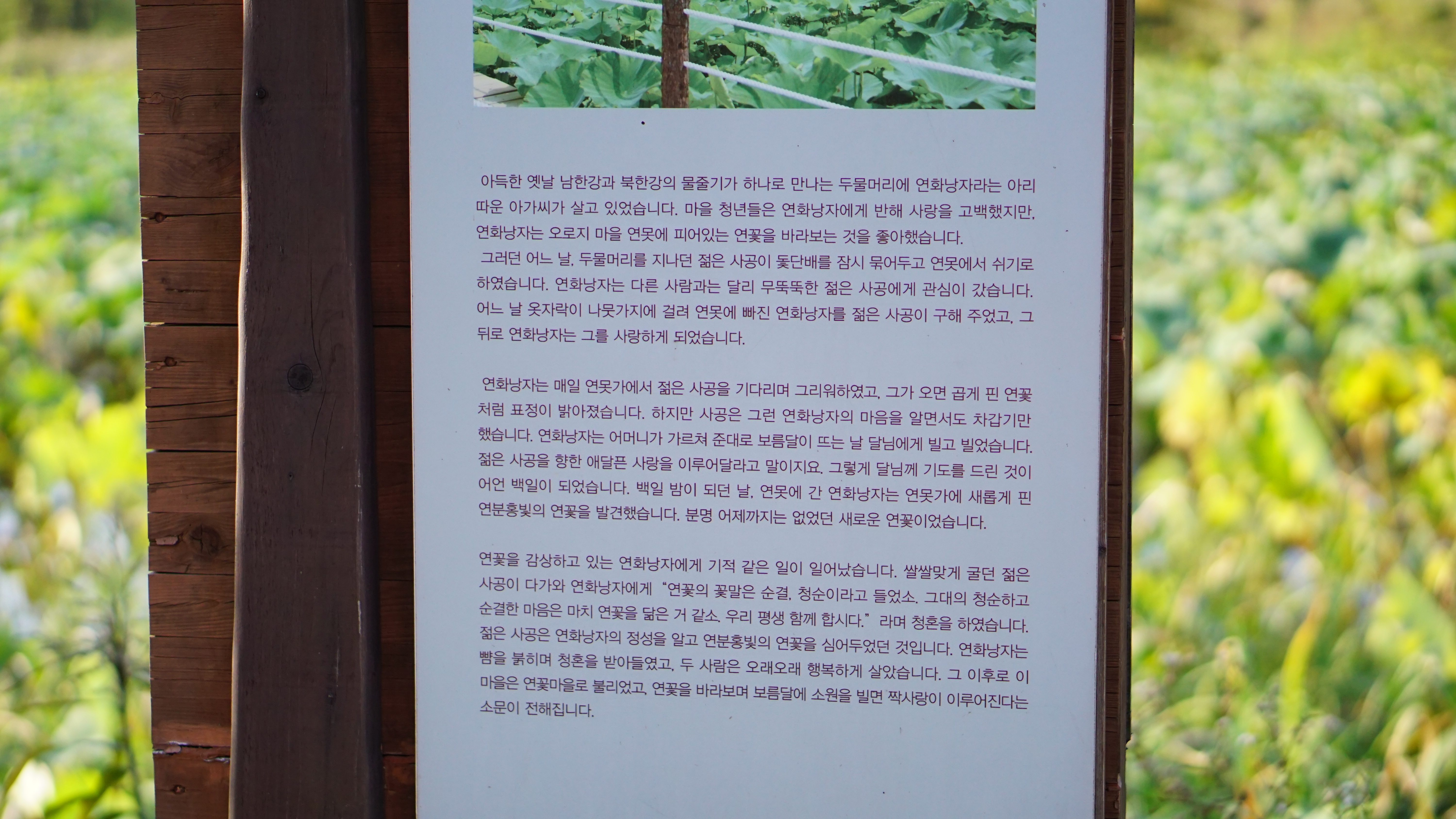 연화낭자의 사랑 이야기 안내판&#44; 흰 바탕에 작은 검은 글씨