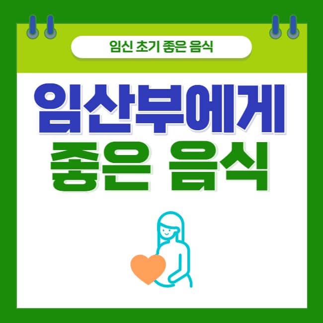  임산부에게 좋은 음식 (feat. 임신초기 좋은 음식)