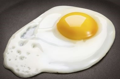  계란의 효능, 같이먹을때 좋은음식 피해야하는음식!