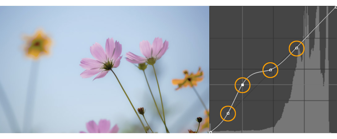 일부 영역만 선택적으로 밝기를 보정한 예시