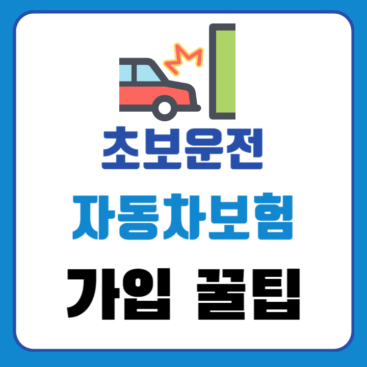 초보운전자 보험료