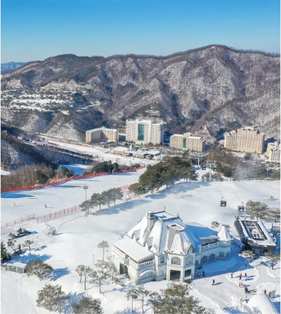 비발디파크 할인정보