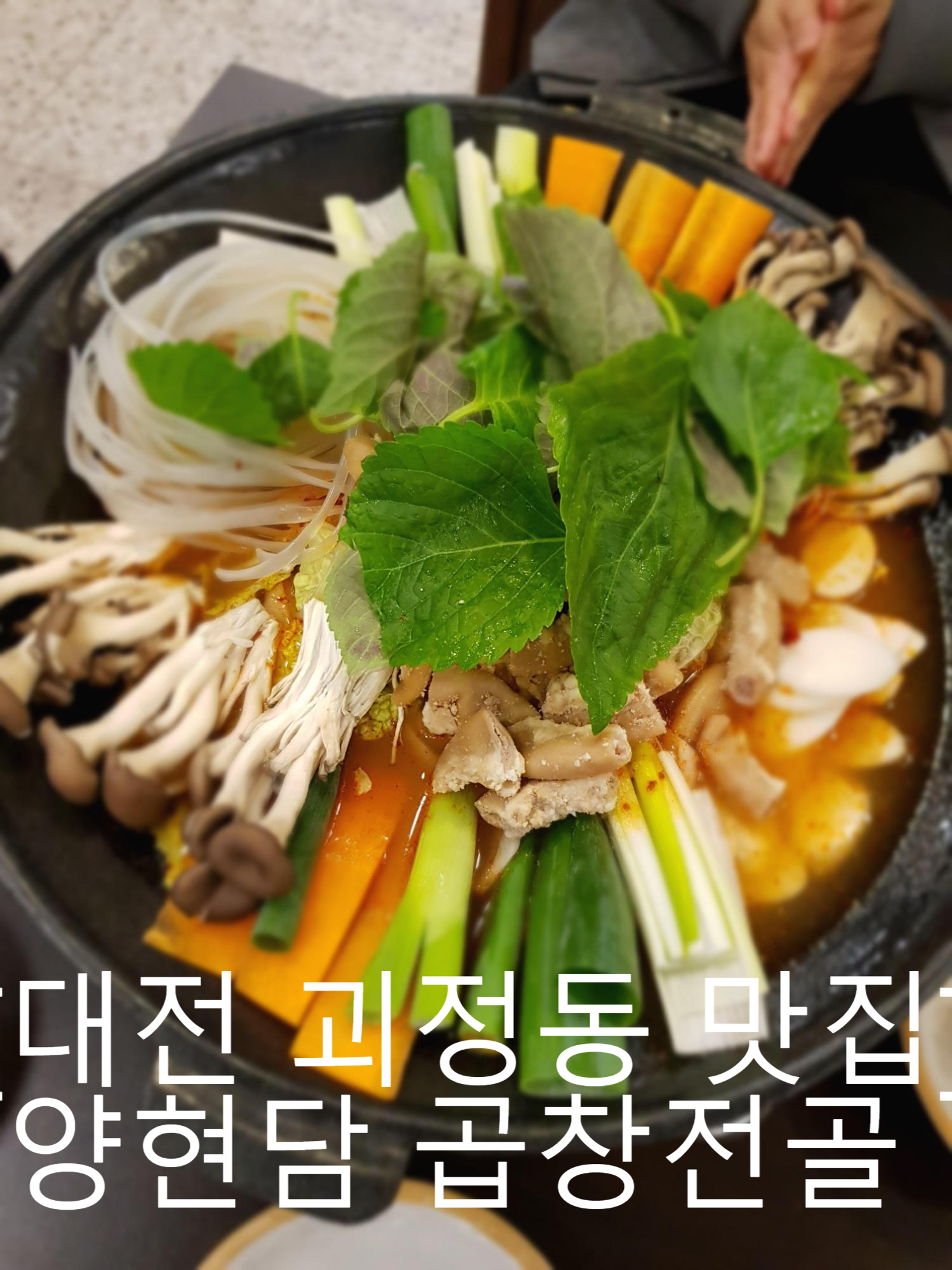  [대전 괴정동 맛집] 용현담 곱창전골 후기