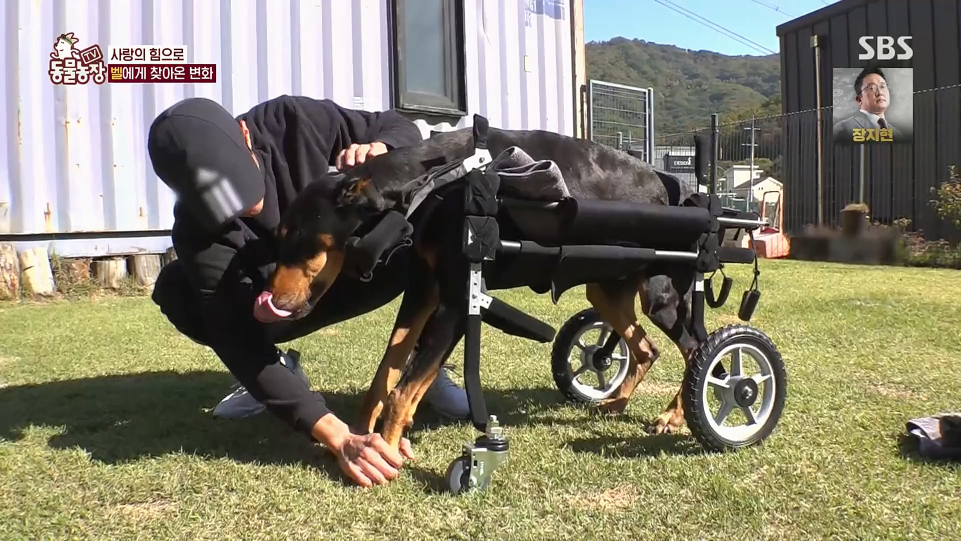 TV 동물농장.E1096.221120p.H264-F1RST.mp4_20221120_193732.115.jpg