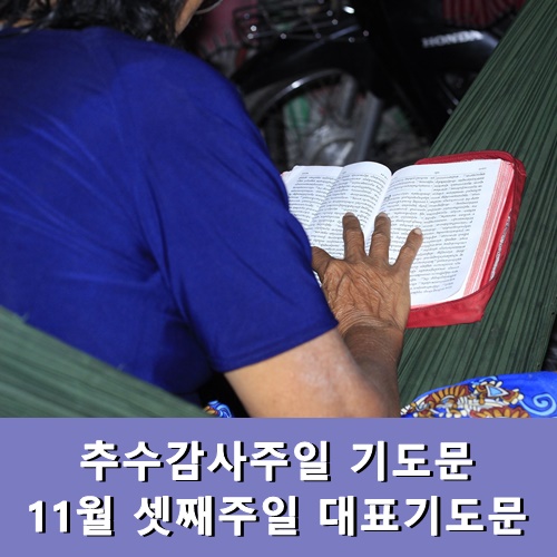  추수감사주일 기도문 11월 셋째주일 대표기도문