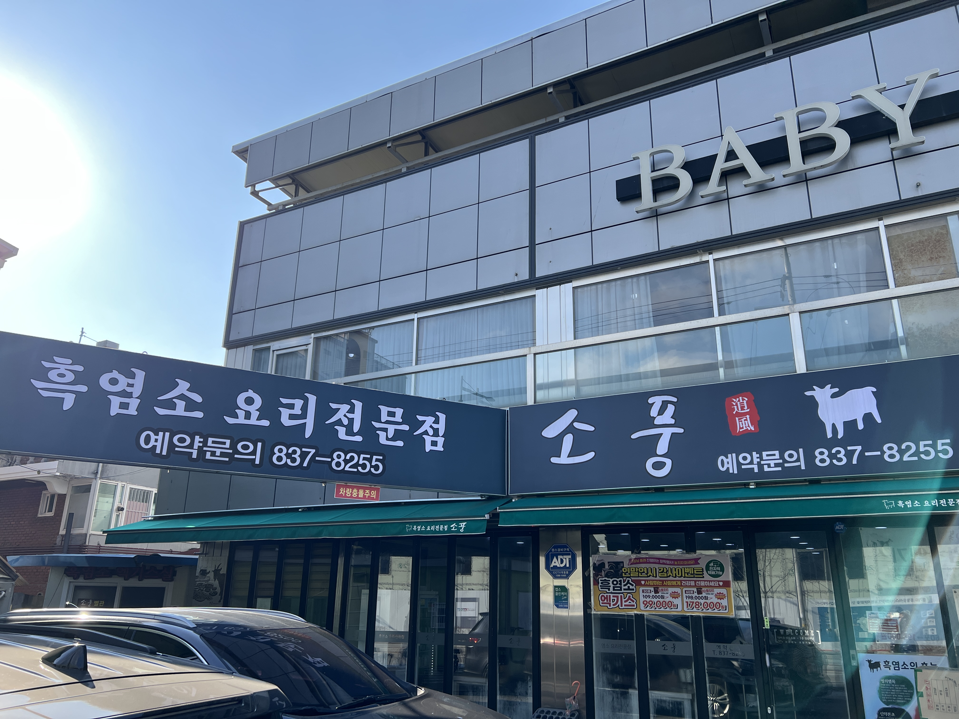 소풍흑염소 이미지