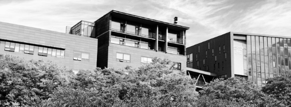 숭실대학교 대학 순위