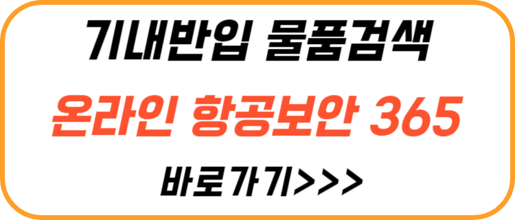 기내-반입-물품-검색