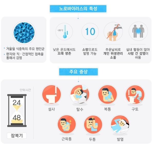 노로 바이러스 증상