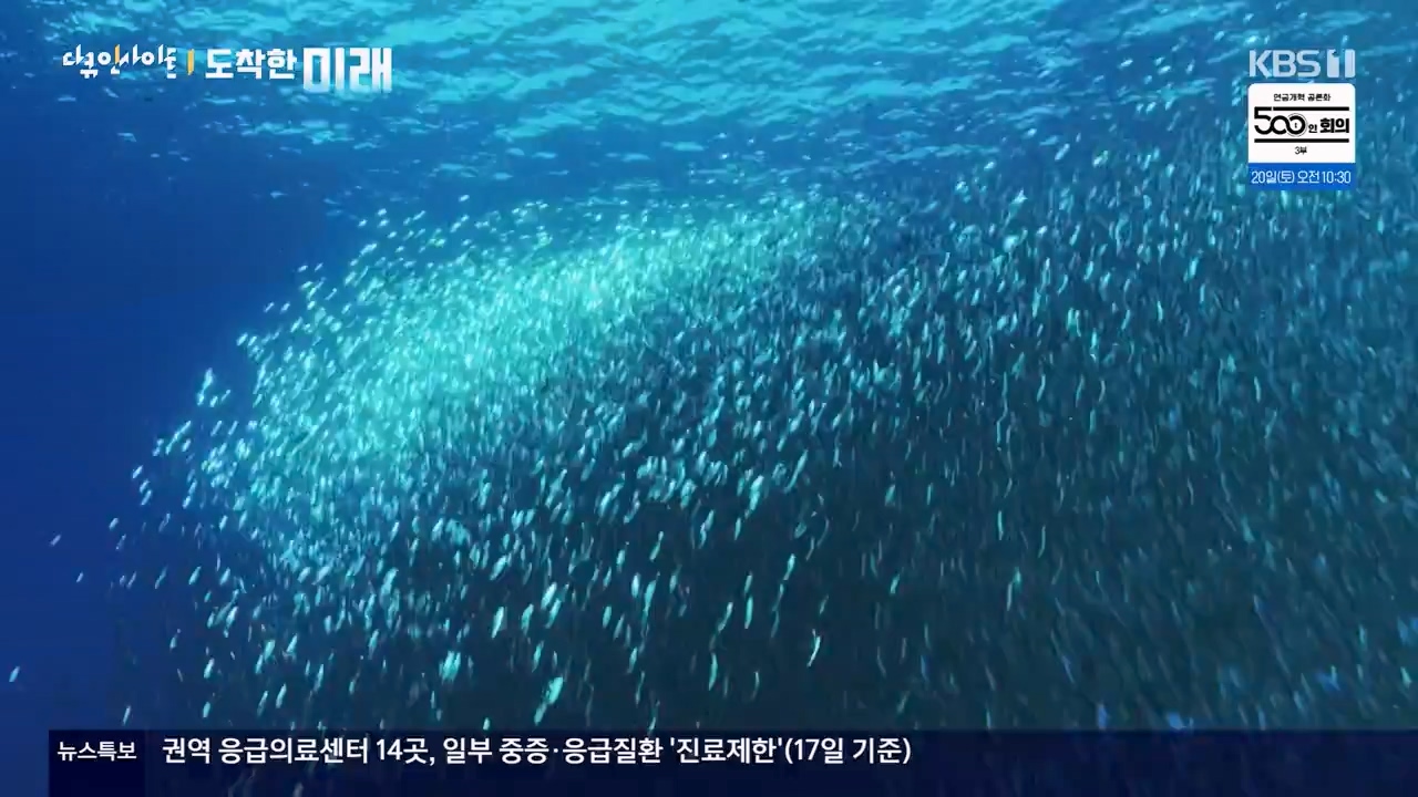 다큐 인사이트.E185.240419p-NEXT.mp4_20240420_161122.922.jpg