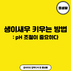  생이새우 키우는 방법 pH 조절